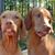 Larry Ricker's profile image