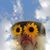 Jim Sumler's profile image