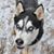 Tiffiny Hall Oakley's profile image