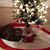Jean Esler's profile image