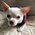Wendy Guiney Montello's profile image