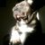 ChetandKristy Falk's profile image