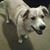Marianne Robosky Houck's profile image