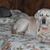 Audrey Pustay Hrynyk's profile image
