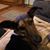 Susan Becker-Dunn's profile image