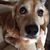 Madeleine Agardh Blixt's profile image