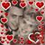 Lynda Korby Nordstrom's profile image