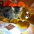 Sandy Sperry's profile image