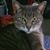 Linda Harper's profile image