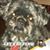 Jodi Ann's profile image