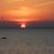 Tom Godfrey's profile image