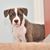 Maddox Maddox's profile image
