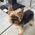 Gail Fechter's profile image