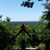 Kim Branson's profile image