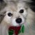 Linda Robison's profile image