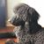 Aron N Steven Hinderliter's profile image