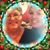 Sharon Kay Burden Timms's profile image