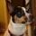 Kerry W.'s profile image