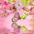 Ruth Ryf's profile image