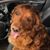 Carrie Lindsey's profile image