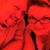 Deborah Cobrda Ringo's profile image