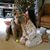 Mai Lindong Hadley's profile image