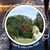 Suzanne L. Gilliland's profile image