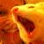Sandra Fauvel's profile image