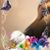 Missy May's profile image