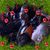 Thelma Ivie's profile image