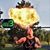 Alex Schwan's profile image