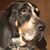 David Monn's profile image