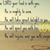 Patt Wright Webb's profile image