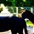Teresa Friend's profile image