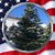 Janice Teasenfitz's profile image