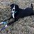 Cathy Ferguson Blankenship's profile image