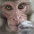 Sarah Fraser's profile image