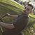 Robert Gamache's profile image