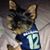 Patti Carrillo Johnson's profile image