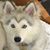 Pamela Aquarii's profile image