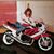 Jan Moreland's profile image