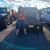 Paola Rodriguez's profile image