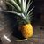 Elaine Kosty's profile image