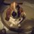 Maeve Robertson's profile image