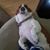 Jonathan Jufer's profile image