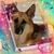 Susette Caraballo Soto's profile image
