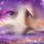 Jennifer Allyn's profile image