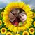 Brandy Atkins's profile image
