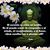 Milagros Quintini's profile image