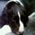 Glenda Williams's profile image